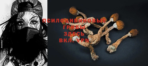 амф Вязьма