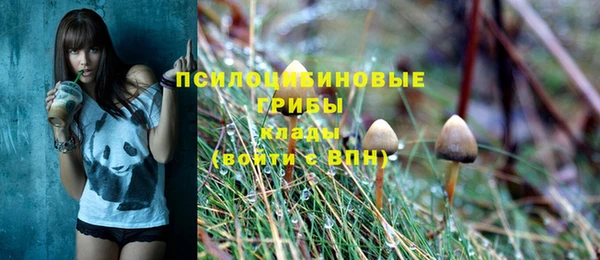 бутират Вязники