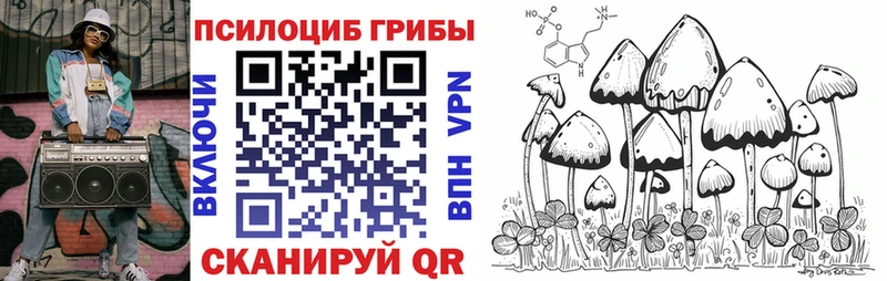 Галлюциногенные грибы GOLDEN TEACHER Каргат